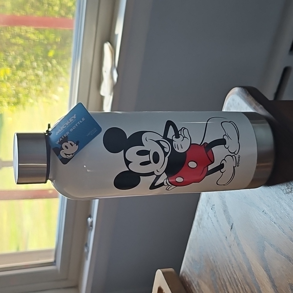 Disney Williams Sonoma water bottle